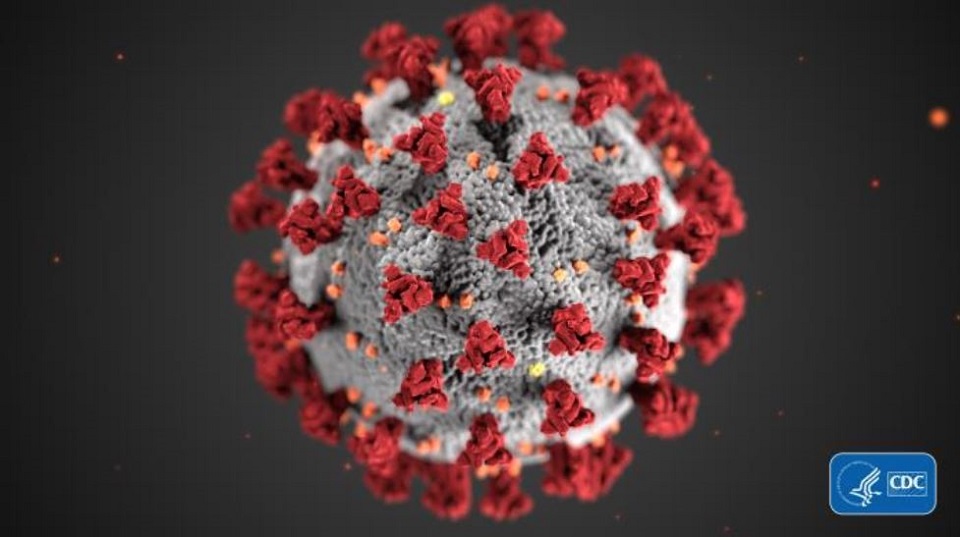 Centers for Disease Control and Prevention's image revealing ultrastructural morphology exhibited by coronaviruses